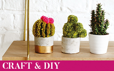 Craft & DIY